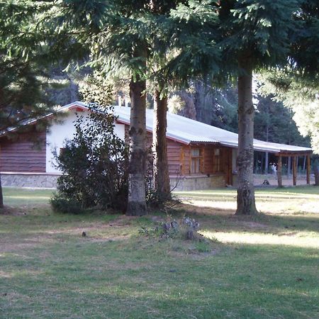 Posada Del Angel San Carlos de Bariloche Eksteriør bilde