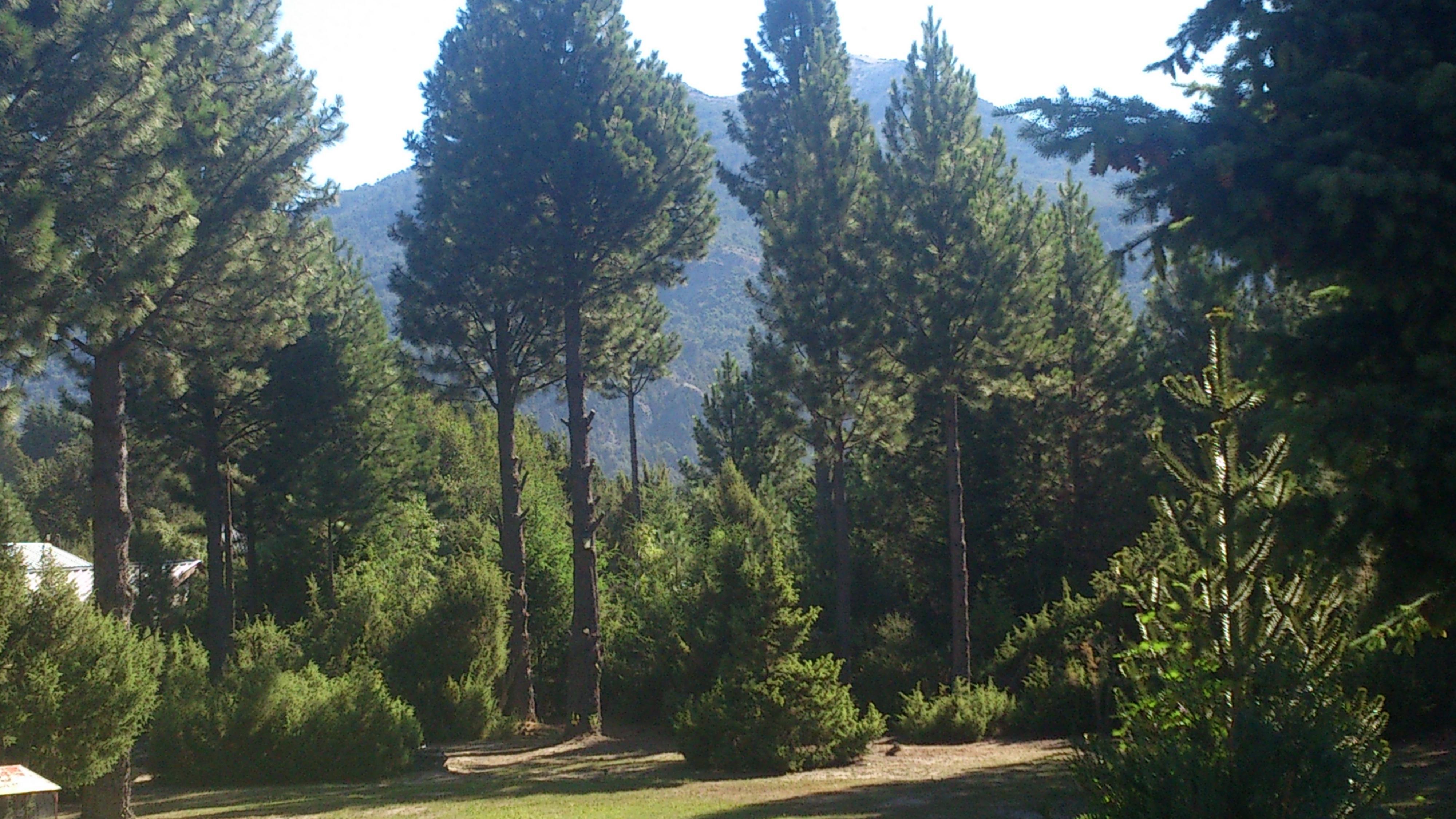 Posada Del Angel San Carlos de Bariloche Eksteriør bilde